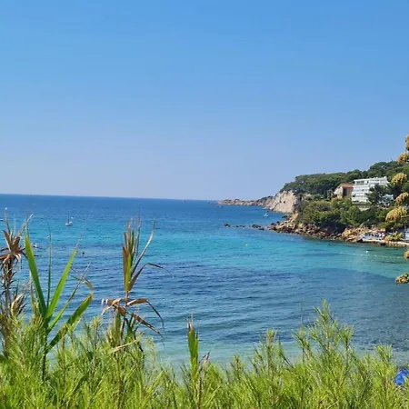 T3, 65 M2, La Seyne Sur Mer,300M Du Port, Terrasse Et Petite Cour, 2 Chambres Et Salon Exterior foto